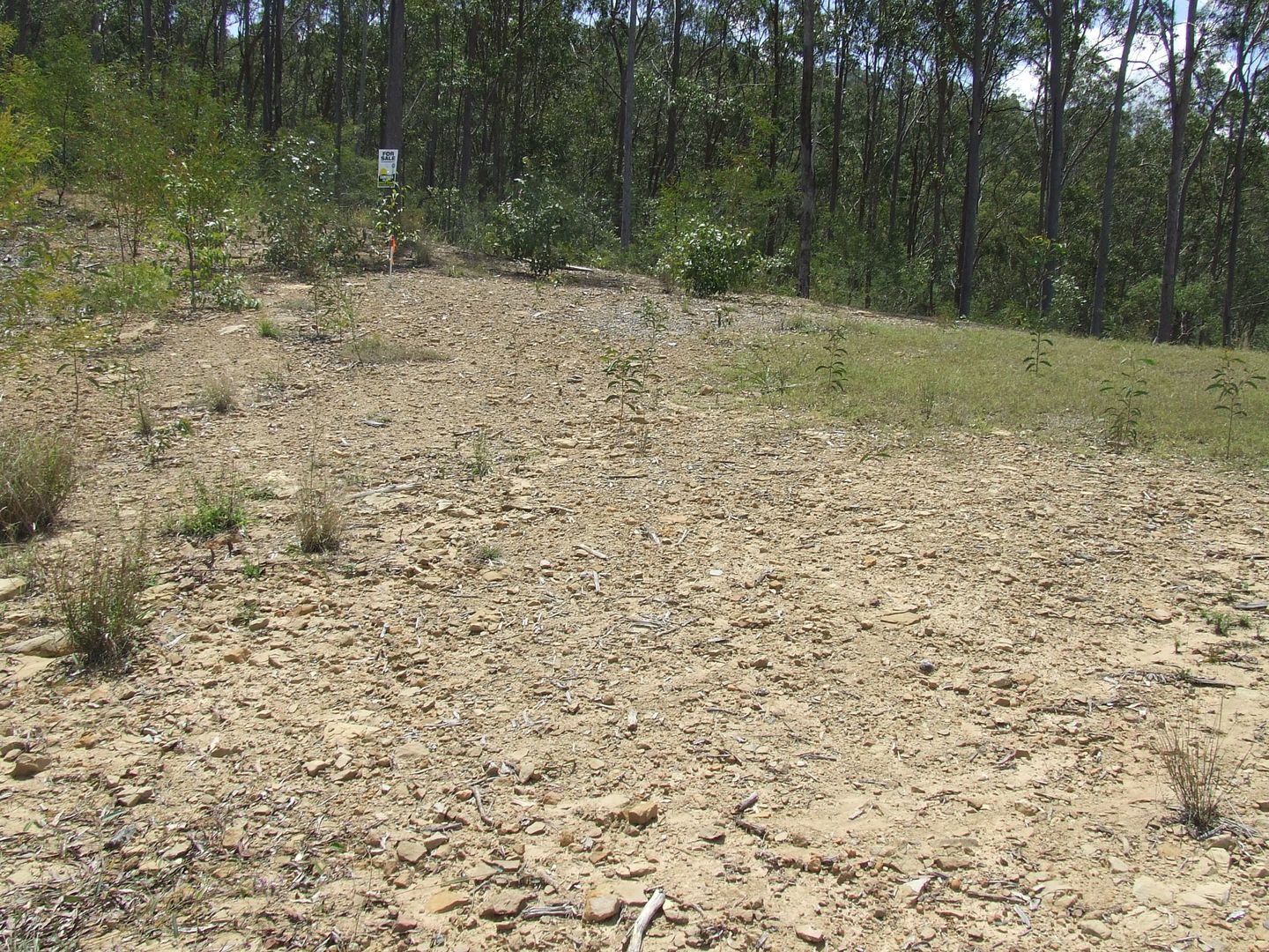 Mundoolun QLD 4285, Image 1