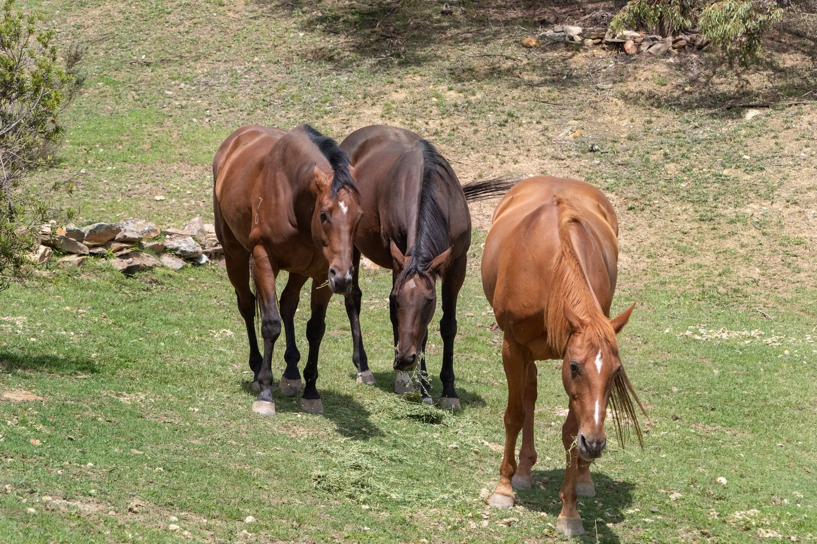 Additional image 37 of 477 Denley Drive, Wamboin NSW 2620