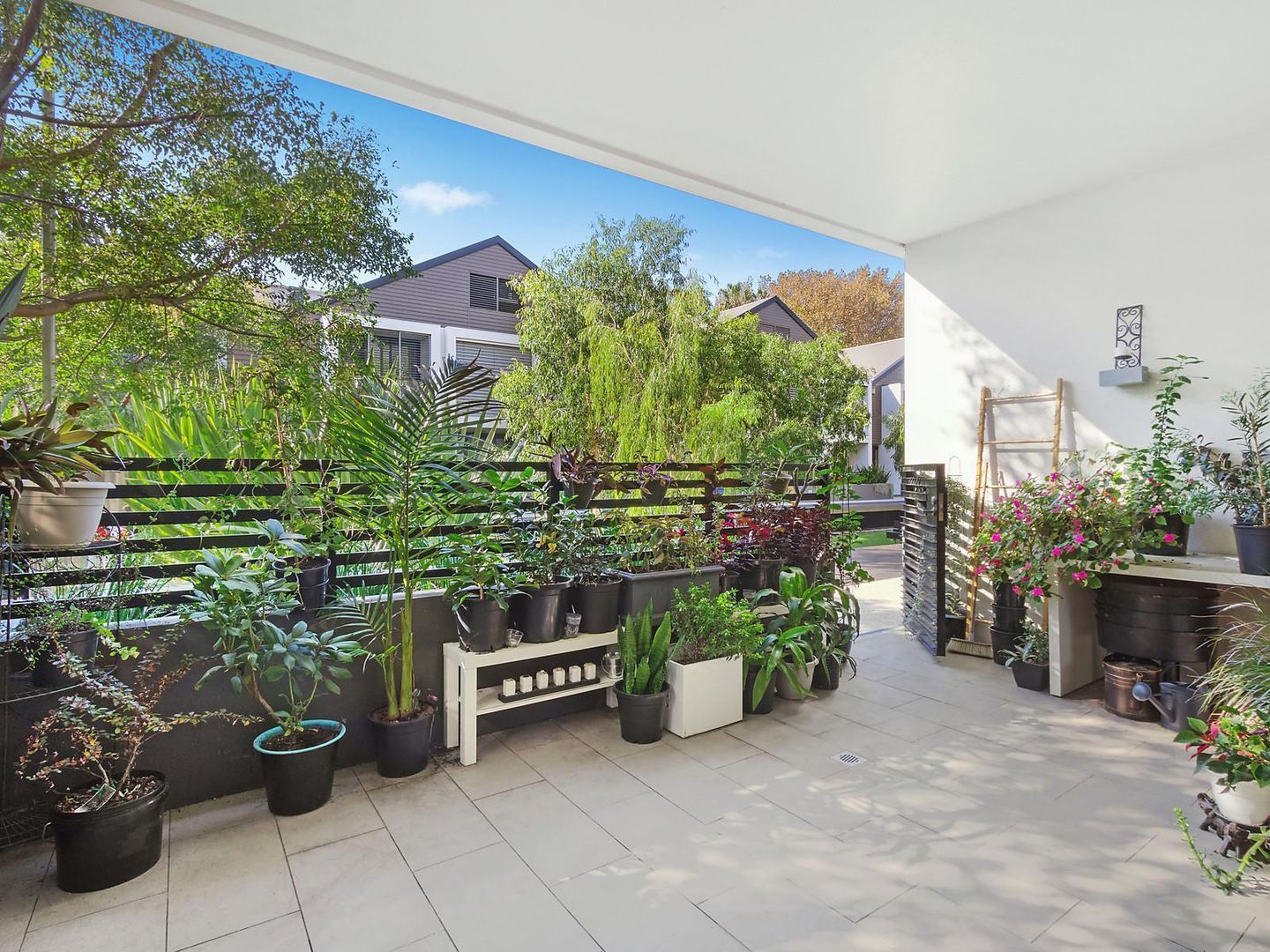 10 Denison Street, Camperdown NSW 2050, Image 1