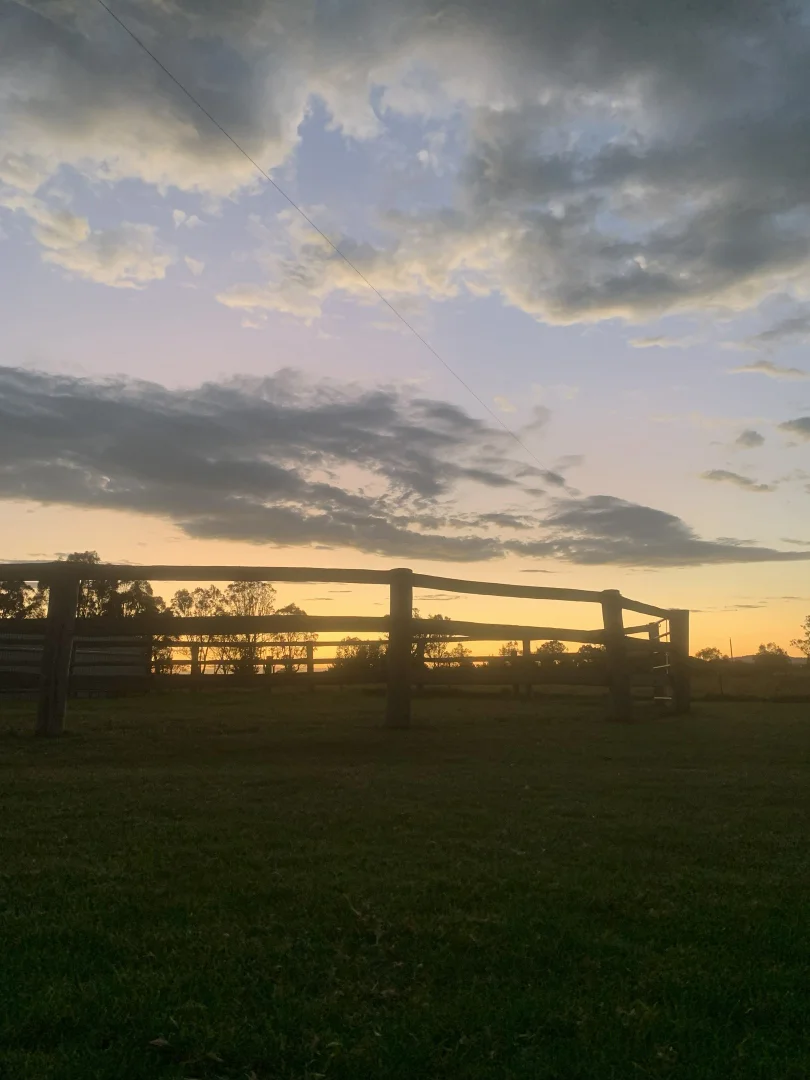 Image 16