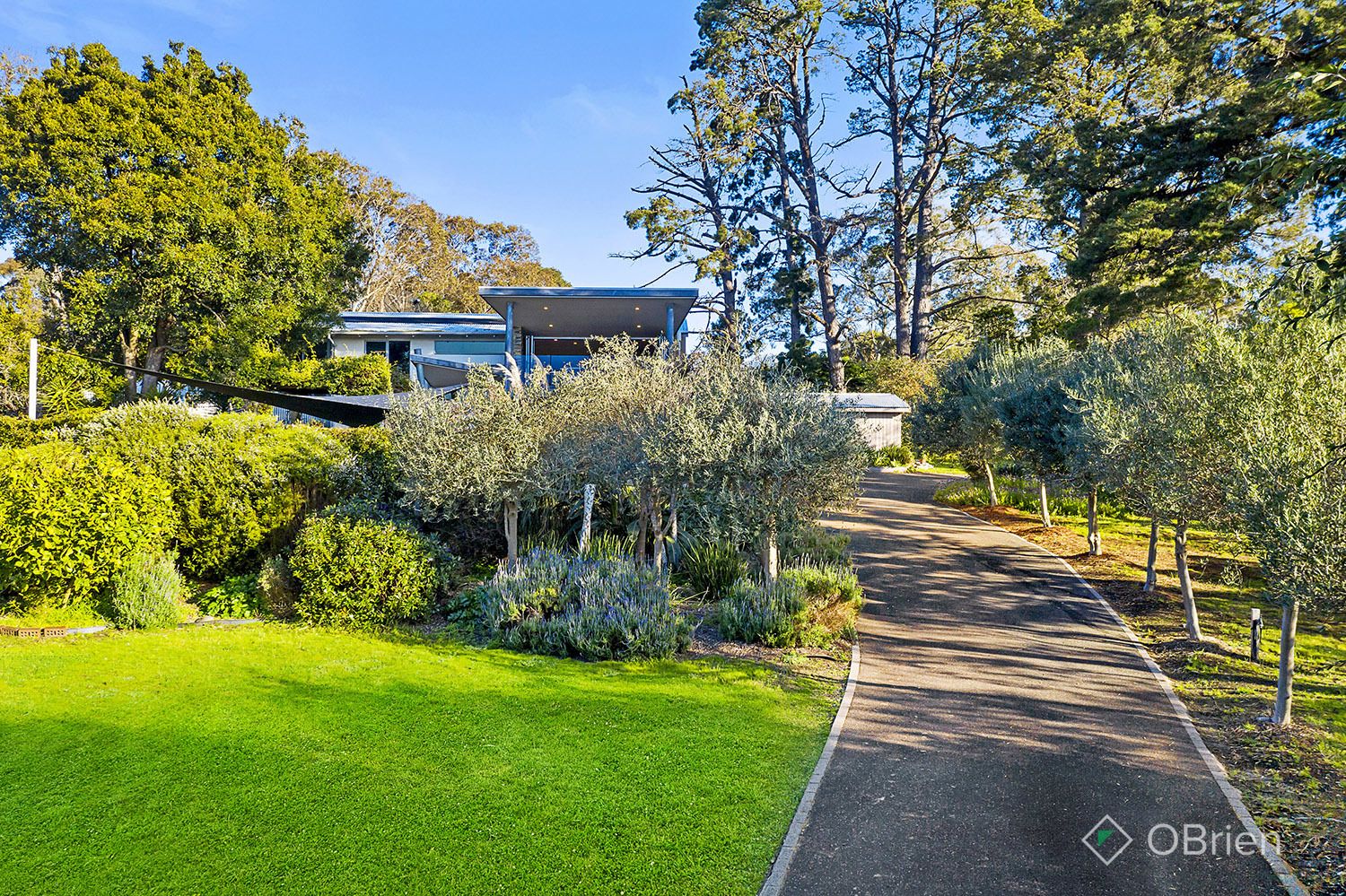 91 Baden Powell Drive, Mount Eliza VIC 3930, Image 2