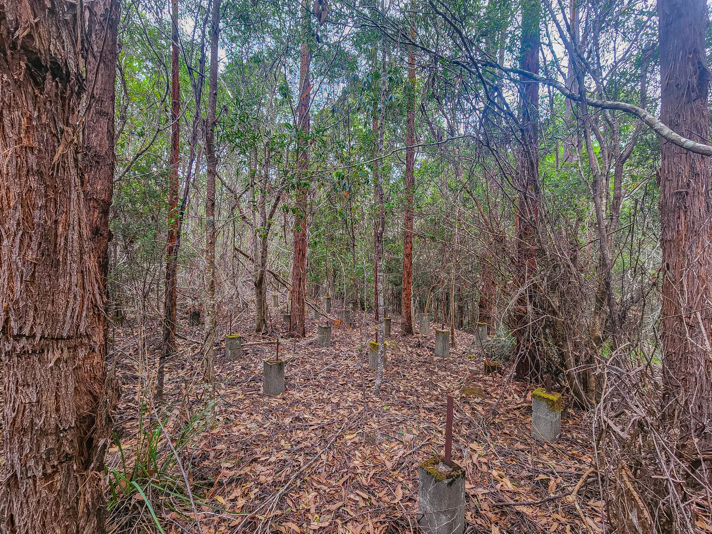 Additional image 9 of 1 Link Road, Lonnavale TAS 7109