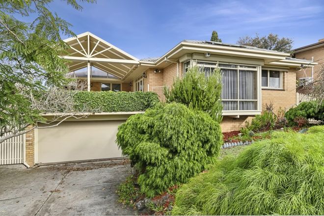Picture of 17 Chaucer Street, HAMLYN HEIGHTS VIC 3215