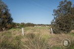Image 13
