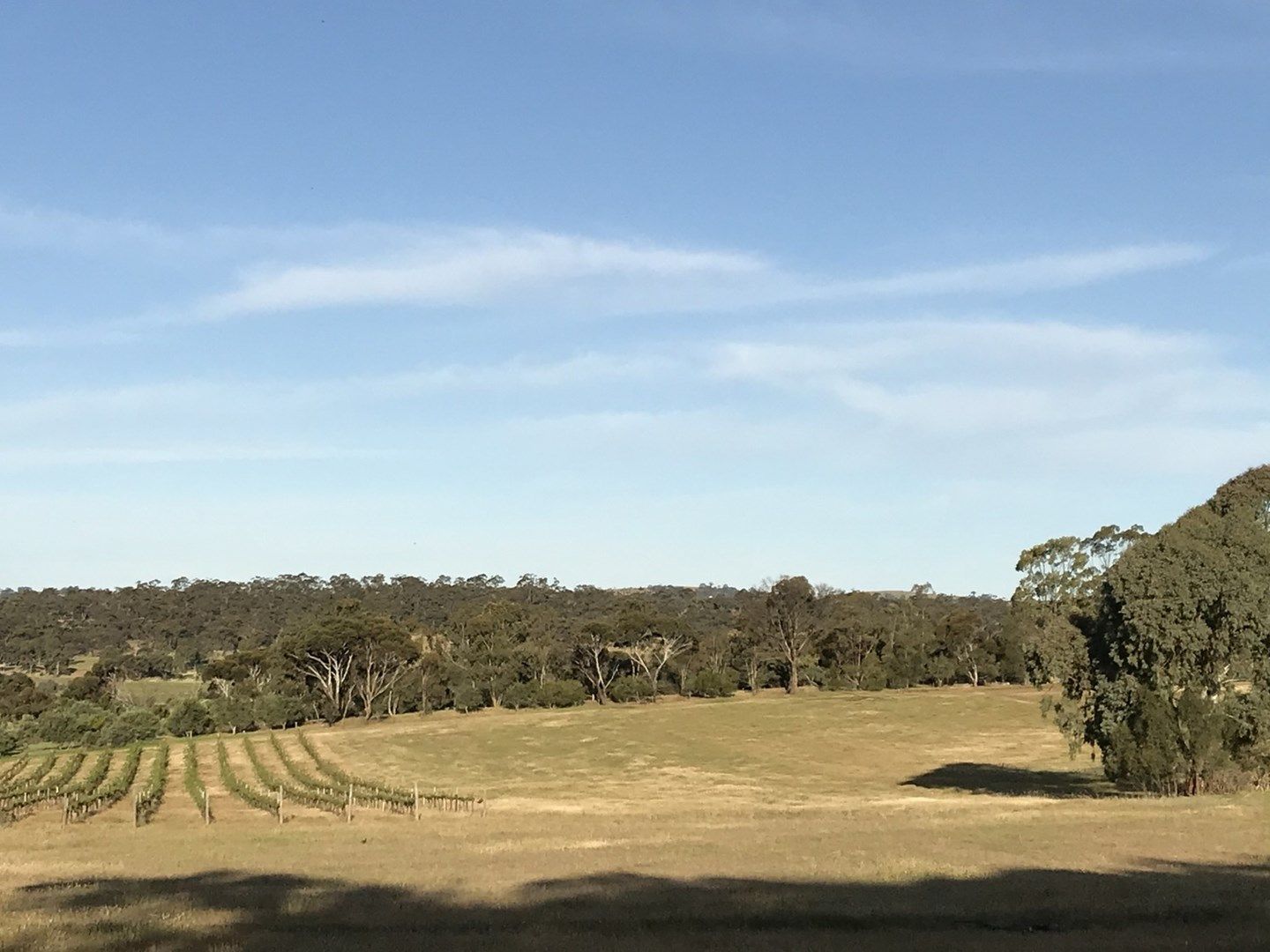 Lot 101 Hicks Road, Armagh SA 5453, Image 0