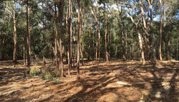 Picture of 1006A Comleroy Road, KURRAJONG NSW 2758
