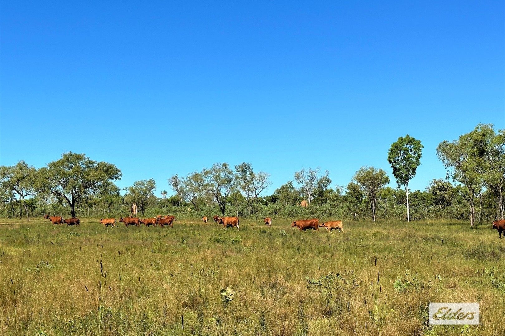 773 Cheeney Road, Batchelor NT 0845, Image 2