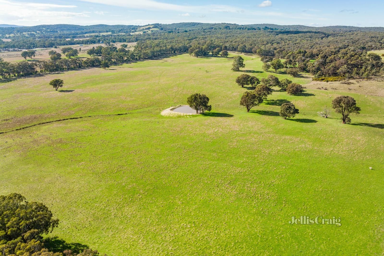 Lot 86 Surface Hill Lane, Raglan VIC 3373, Image 1