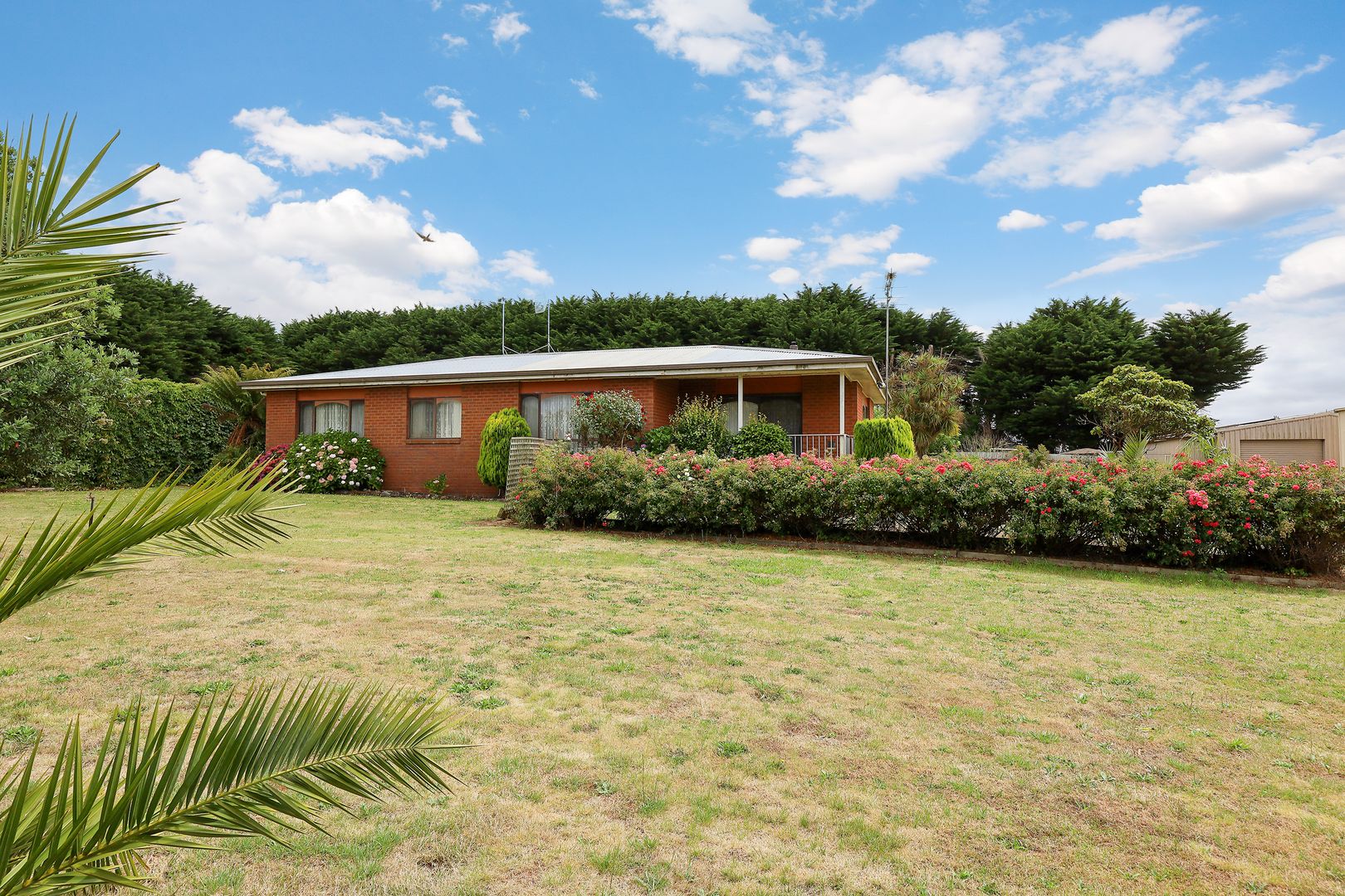 385 Coradjil Road, Simpson VIC 3266, Image 1