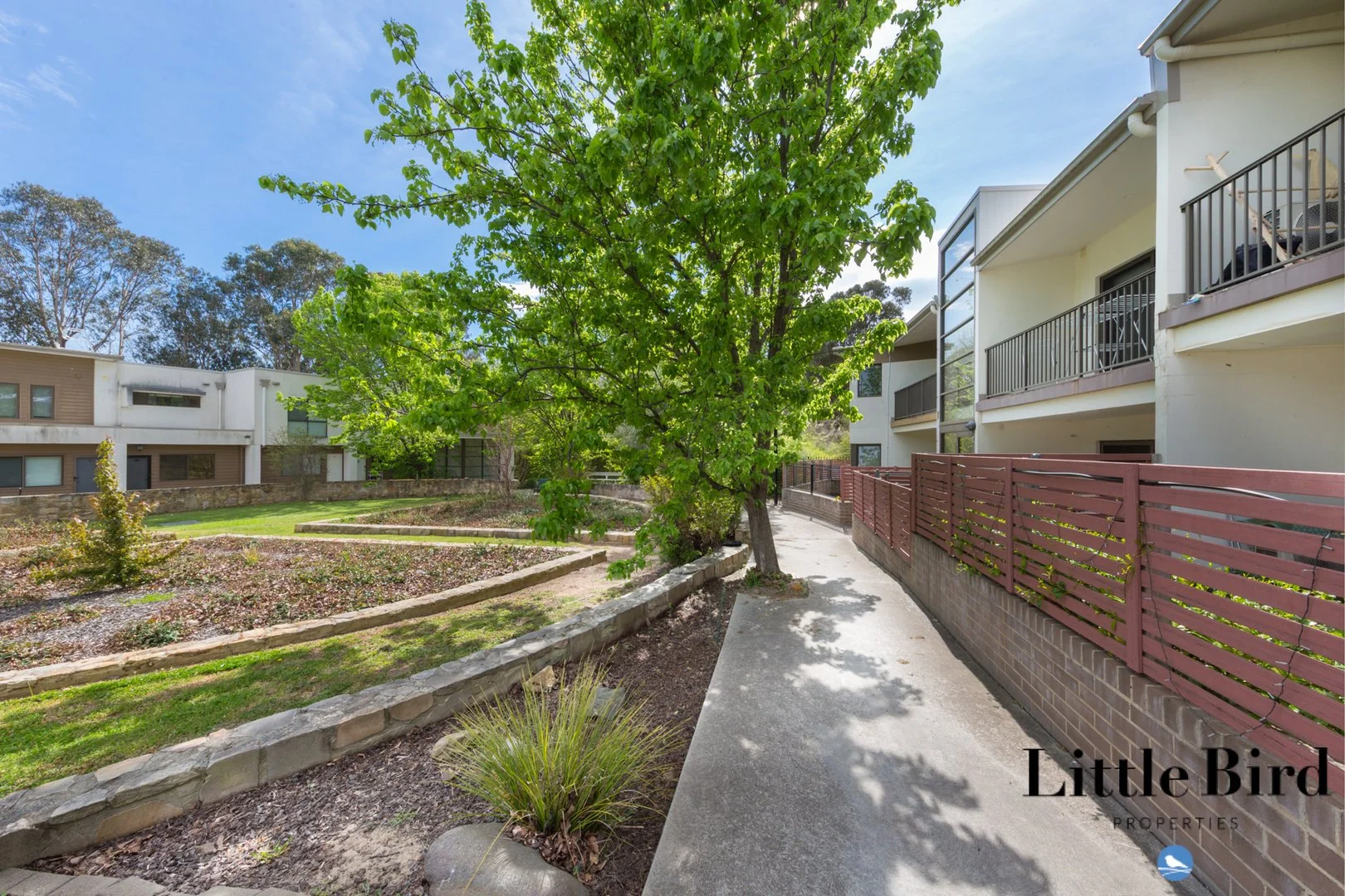 34/39 Jerrabomberra Ave, Narrabundah ACT 2604 - Apartment For Rent | Domain