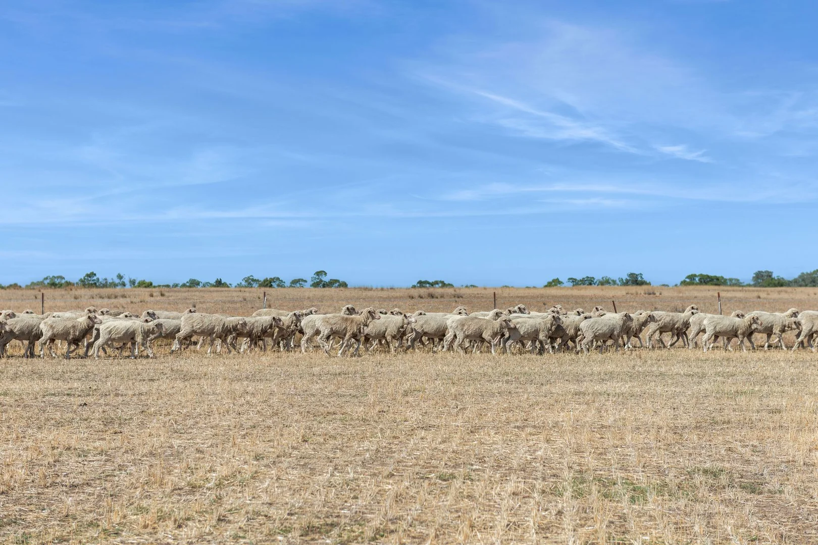 Additional image 11 of Lots 2&3 Whatleys Road, Goornong VIC 3557