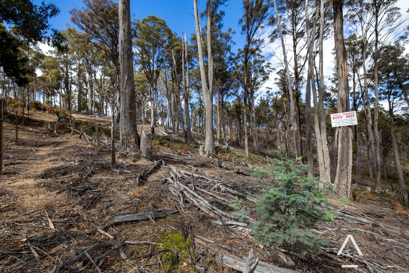 795 English Town Road, Deddington TAS 7212 Vacant Land for Sale