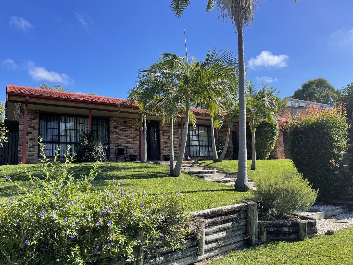 48 Willcox Avenue, Singleton NSW 2330 House For Rent Domain