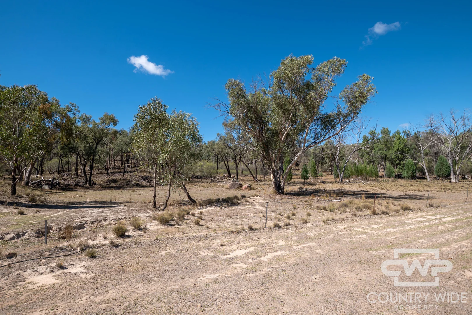 Additional image 21 of 1043 Wallangra Road, Wallangra NSW 2360