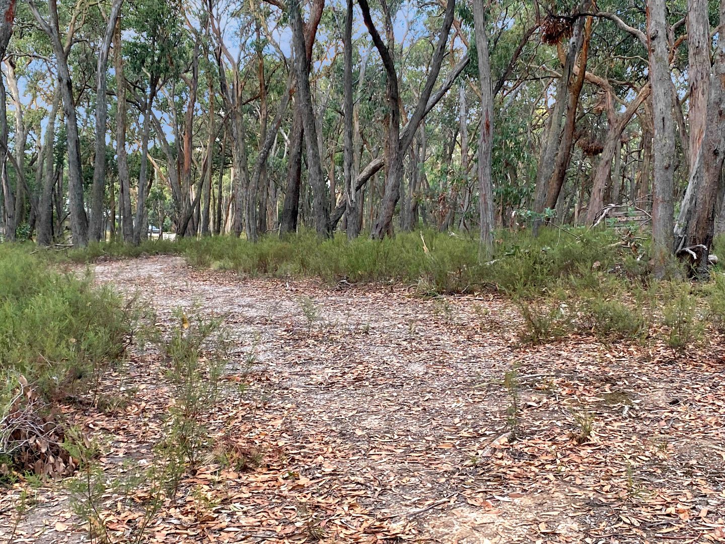 200 Rowlers Road, Snake Valley VIC 3351 Domain