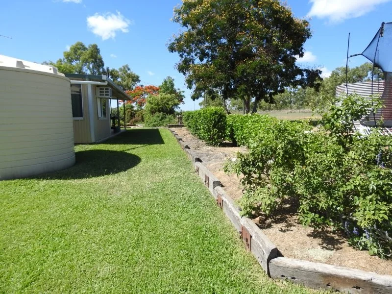 Image 11