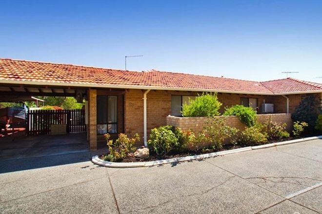 Picture of 28/17 Syree Court, MARMION WA 6020