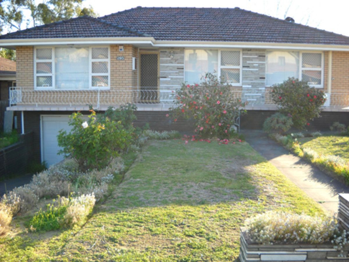 3 bedrooms House in 295 Main Street BALCATTA WA, 6021