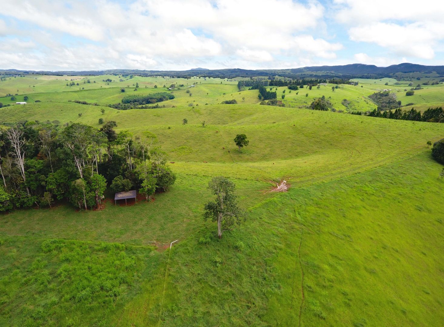 408 Seamark Road, Tarzali QLD 4885, Image 2