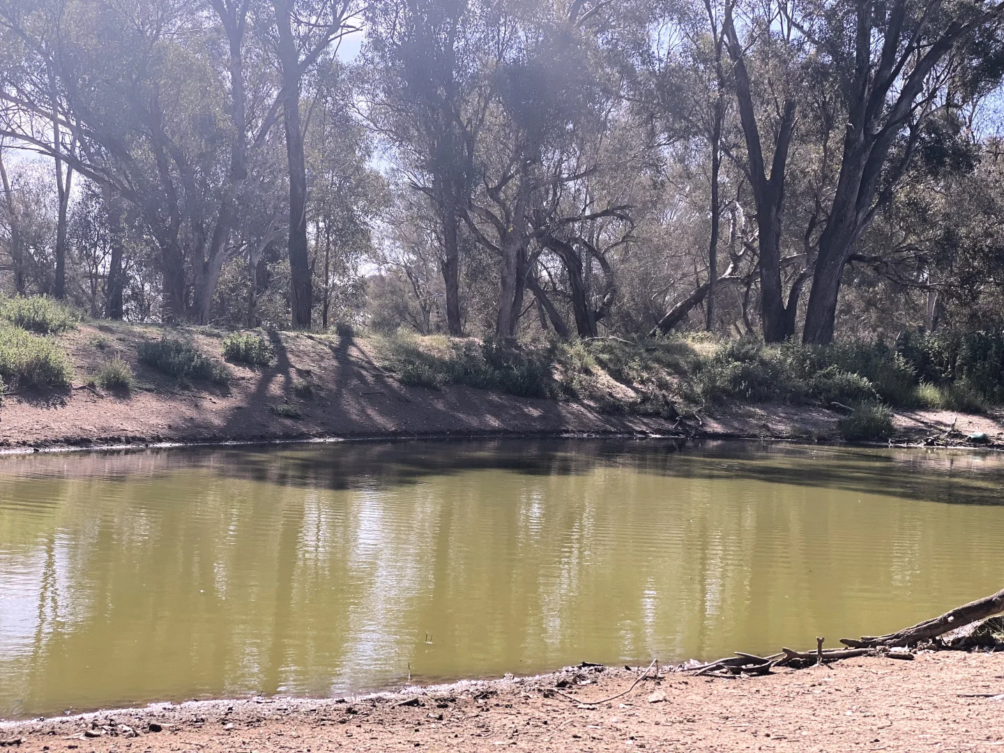 Image 13