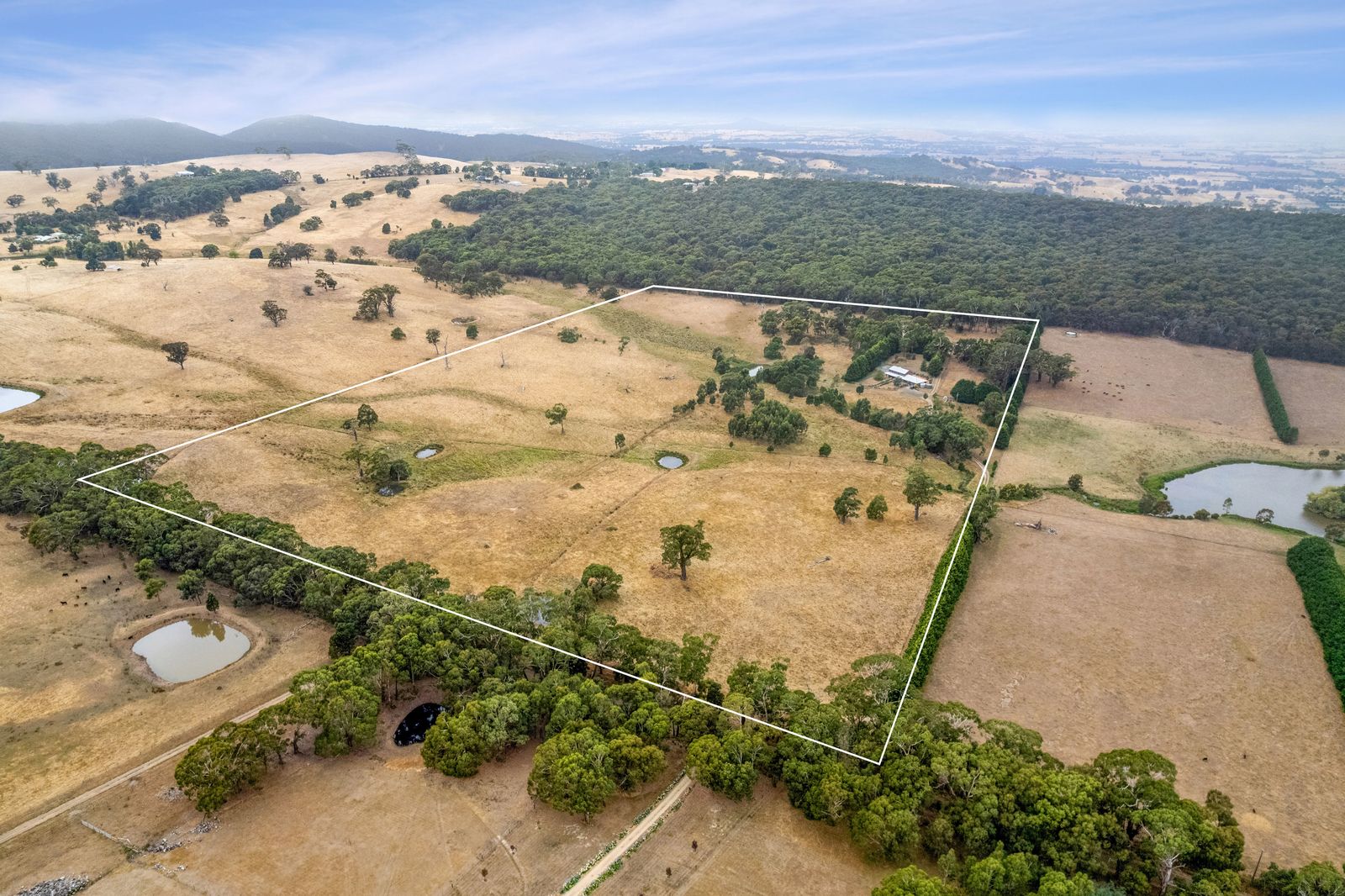 644 Mount William Road, Goldie VIC 3435 House for Sale Domain