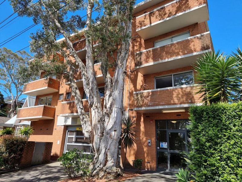1 bedrooms Apartment / Unit / Flat in 47/95 Annandale Street ANNANDALE NSW, 2038