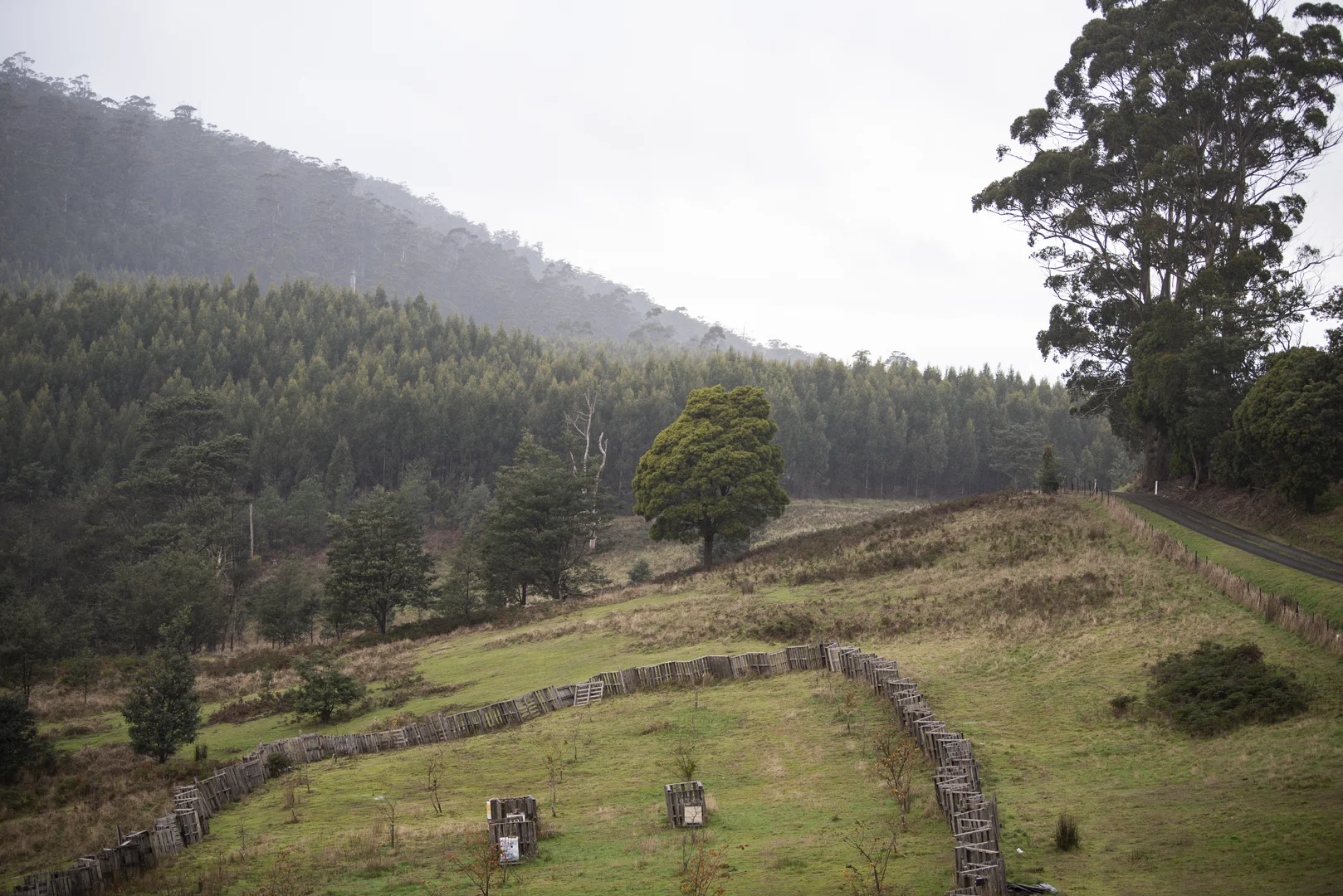 Image 16