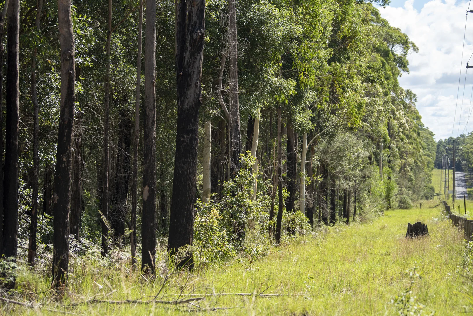 Additional image 22 of Lot 2 Parnell Road, Tomerong NSW 2540