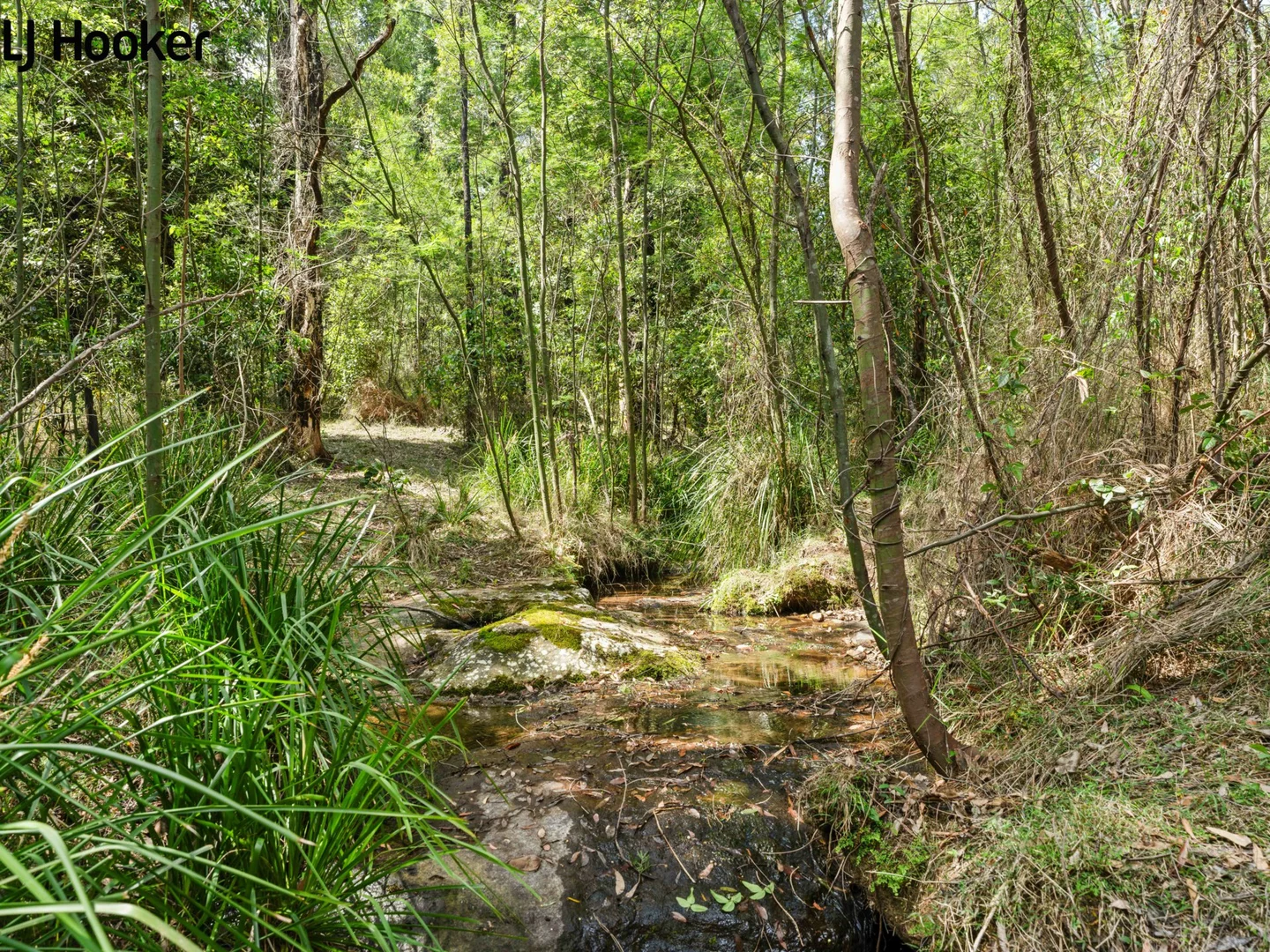 Image 31