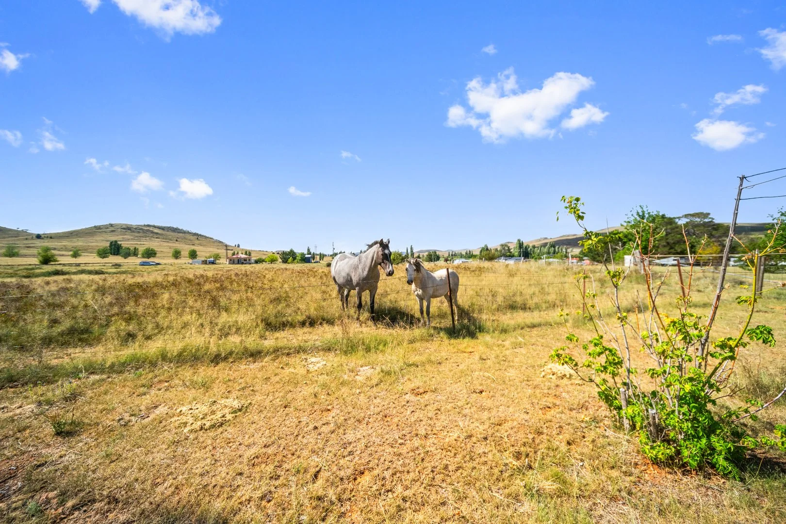 Additional image 9 of 2 Ovens Street, Bredbo NSW 2626