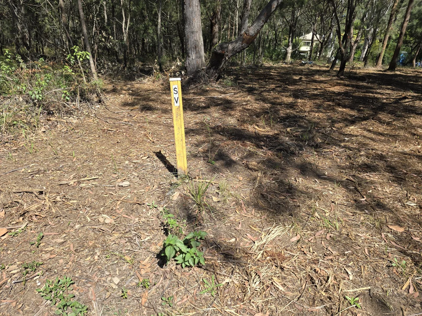 Additional image 6 of 42 Hemp Hill Road, Russell Island QLD 4184
