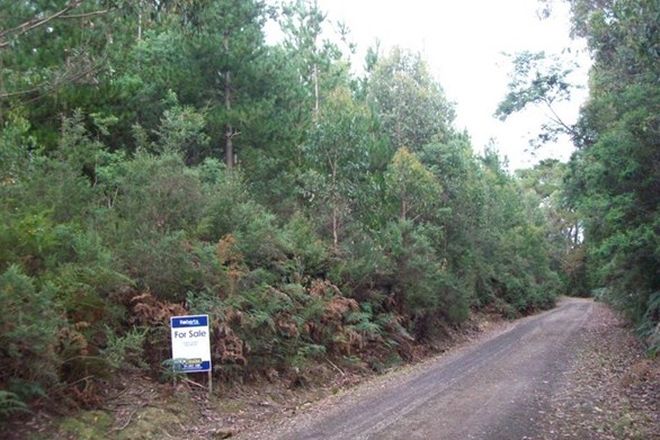 Picture of Chilcotts Road, SPRENT TAS 7315