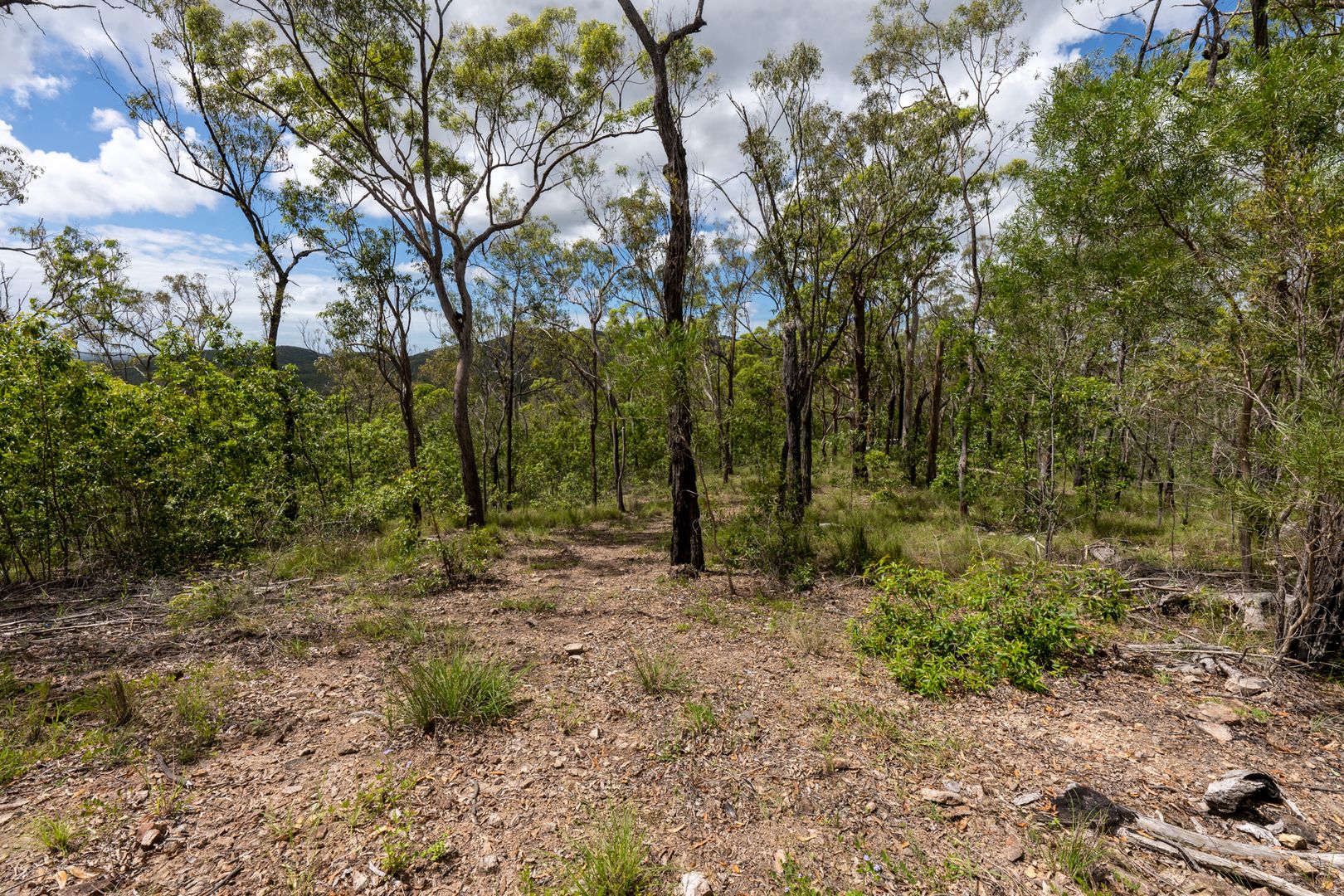 380 / lot 1 Baldaw Road, Agnes Water QLD 4677, Image 2
