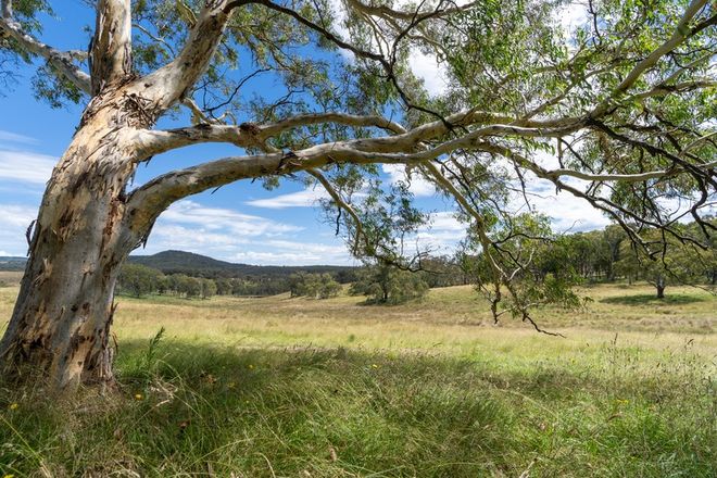 Picture of Lot 10 Wallerawang Rydal Road, MOUNT LAMBIE NSW 2790