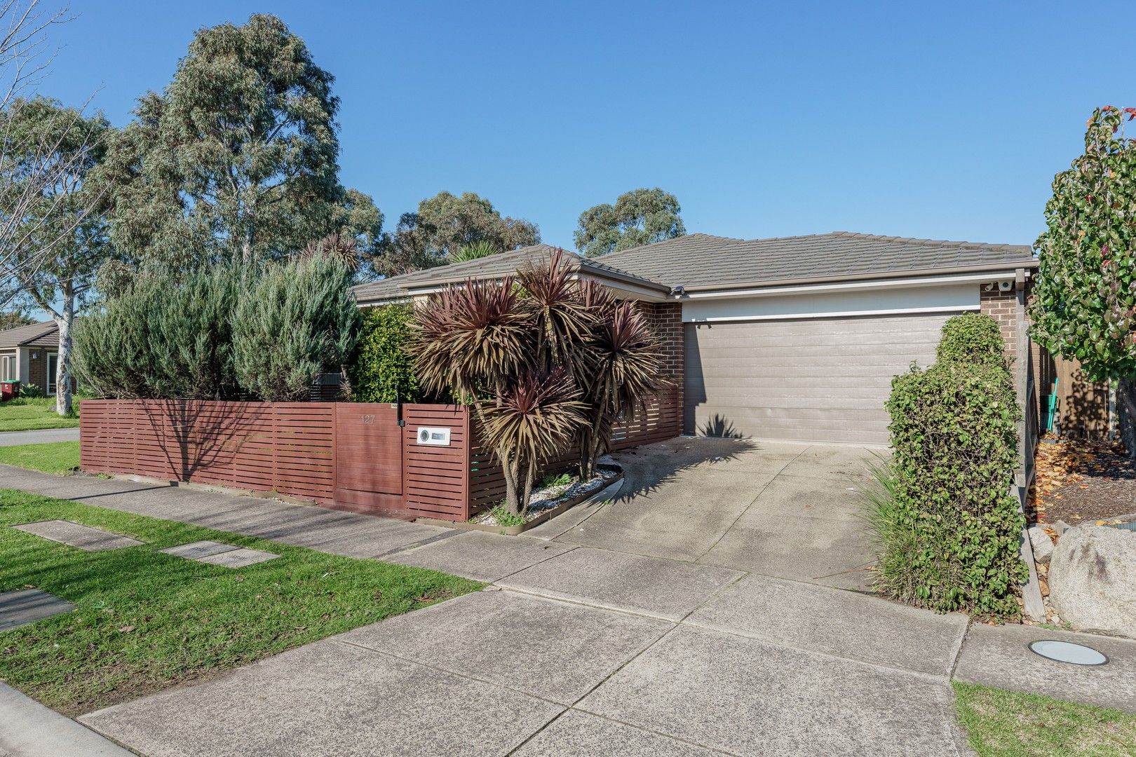 127 Moondarra Drive, Berwick VIC 3806 House For Rent 575 Domain