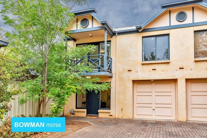 Picture of 4/33 Stanley Street, NORTH ADELAIDE SA 5006
