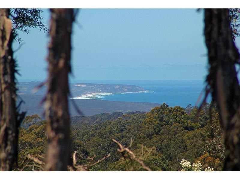 5470 Great Ocean Road, YUULONG VIC 3237, Image 2