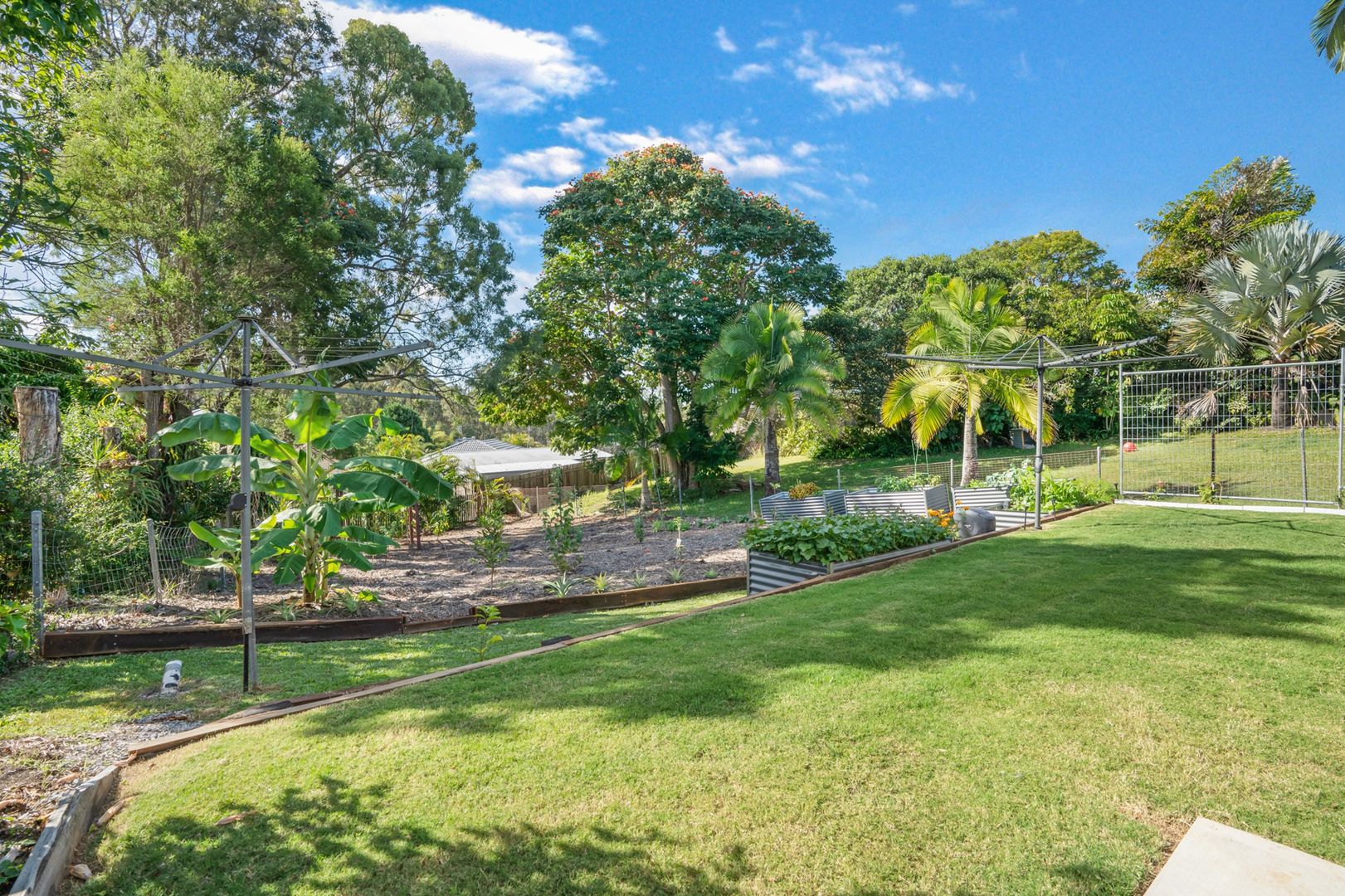 16 Barton Road, Victory Heights QLD 4570, Image 2