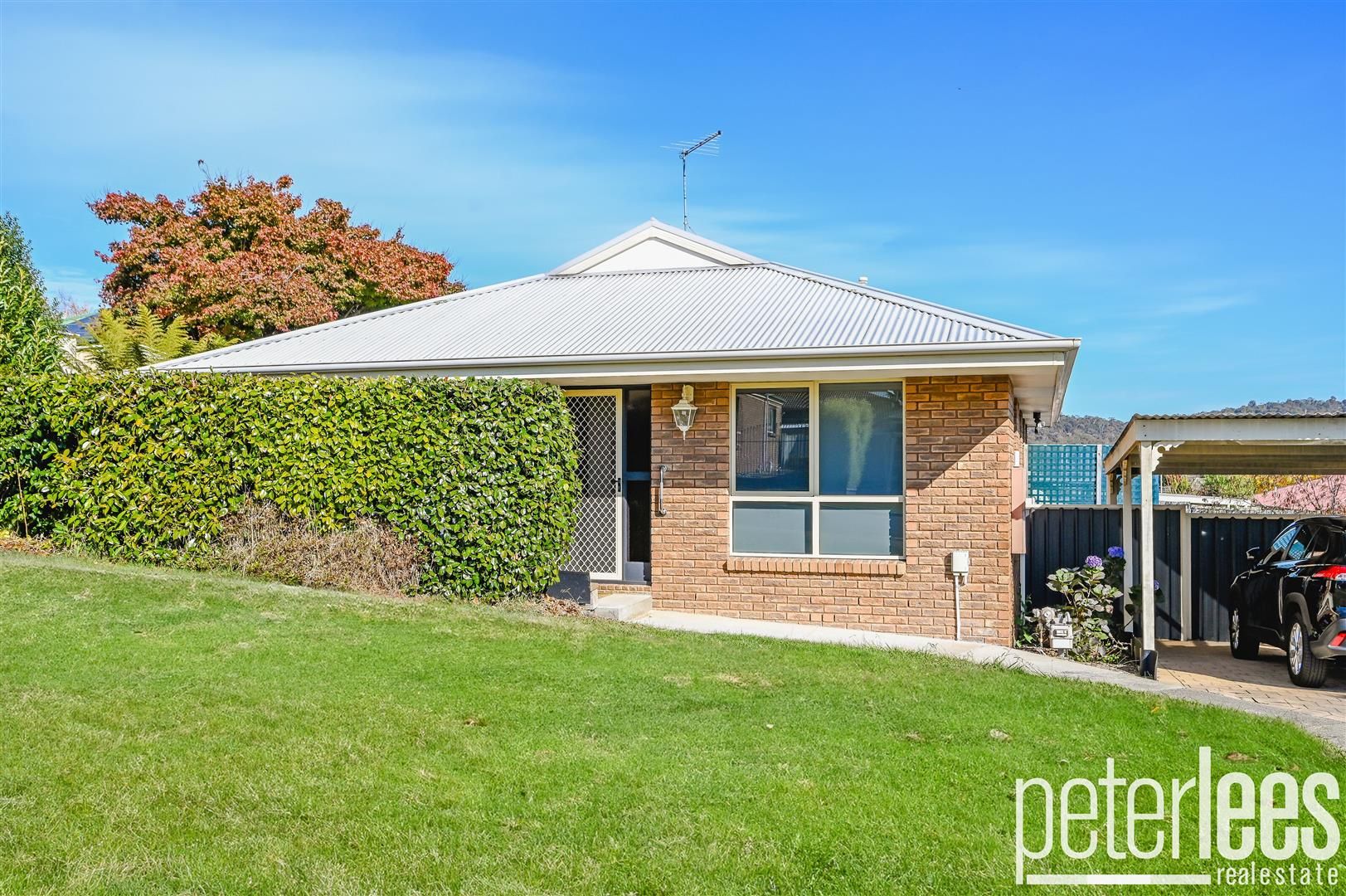 5 Lindfield Place, Prospect Vale TAS 7250, Image 1