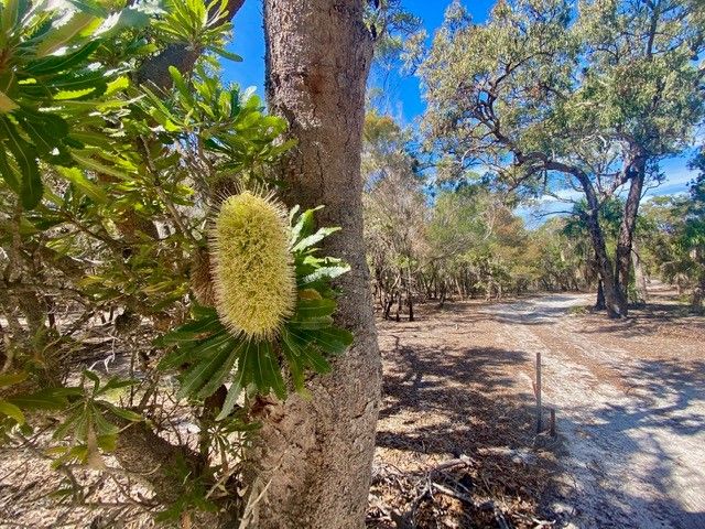 4 Springs Road, Agnes Water QLD 4677, Image 1