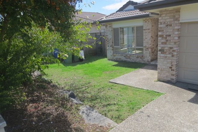 257 4 Bedroom Houses For Rent In Redbank Plains Qld