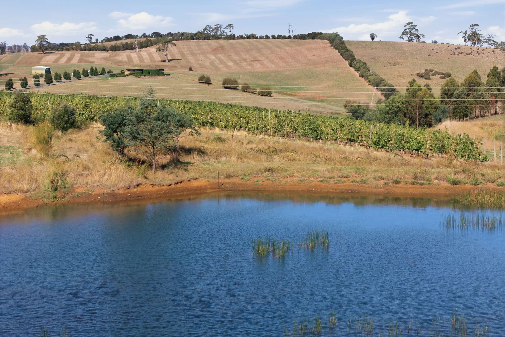 Additional image 7 of 161 John Lees Drive, Dilston TAS 7252