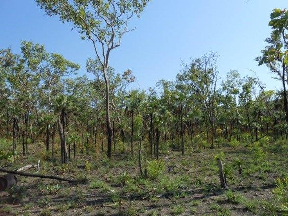 Coomalie Creek NT 0822, Image 1