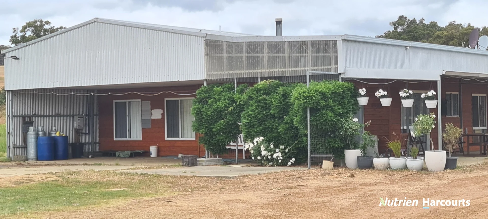 Image 15