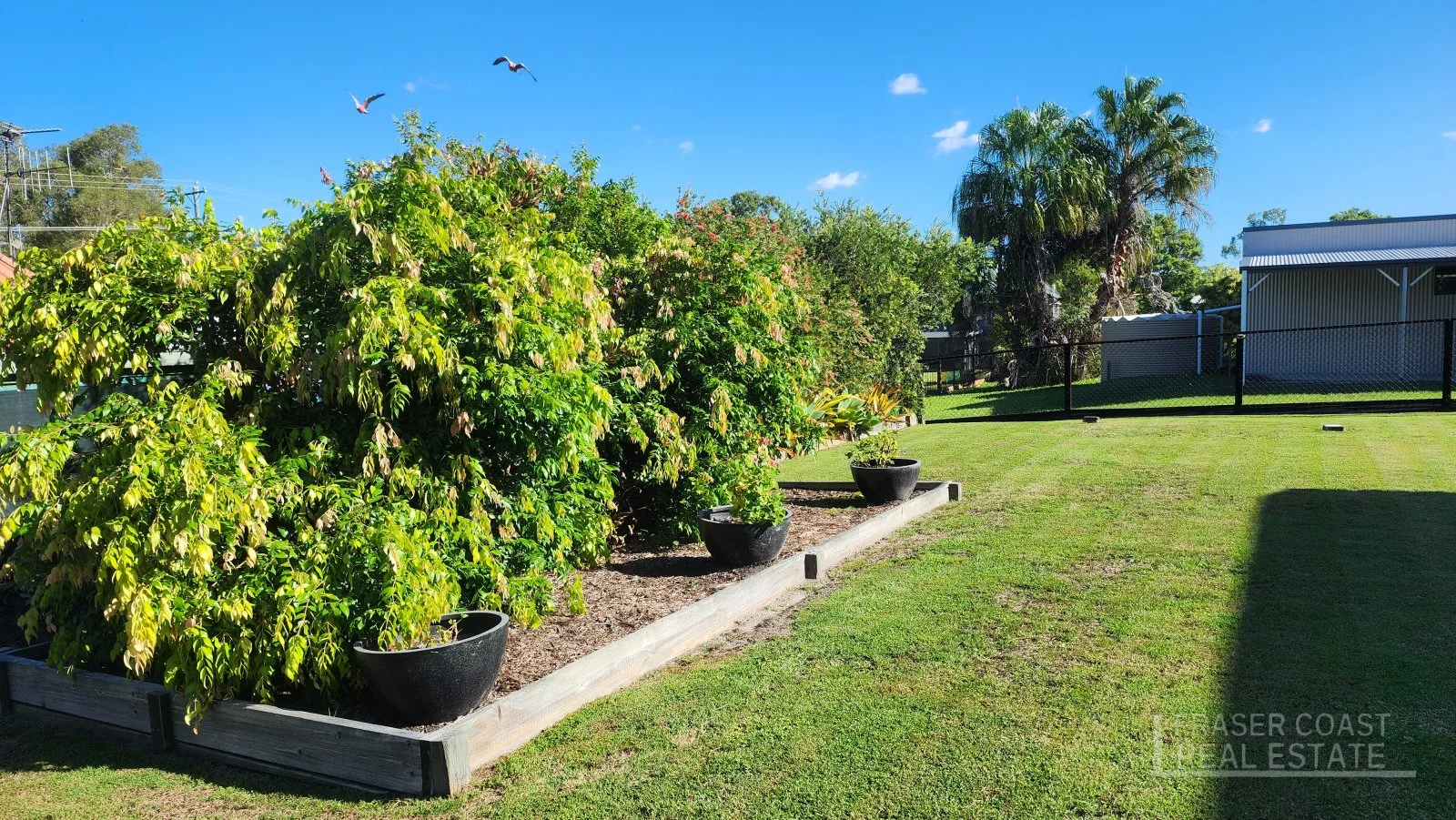 Additional image 29 of 4 Hakea Terrace, Poona QLD 4650