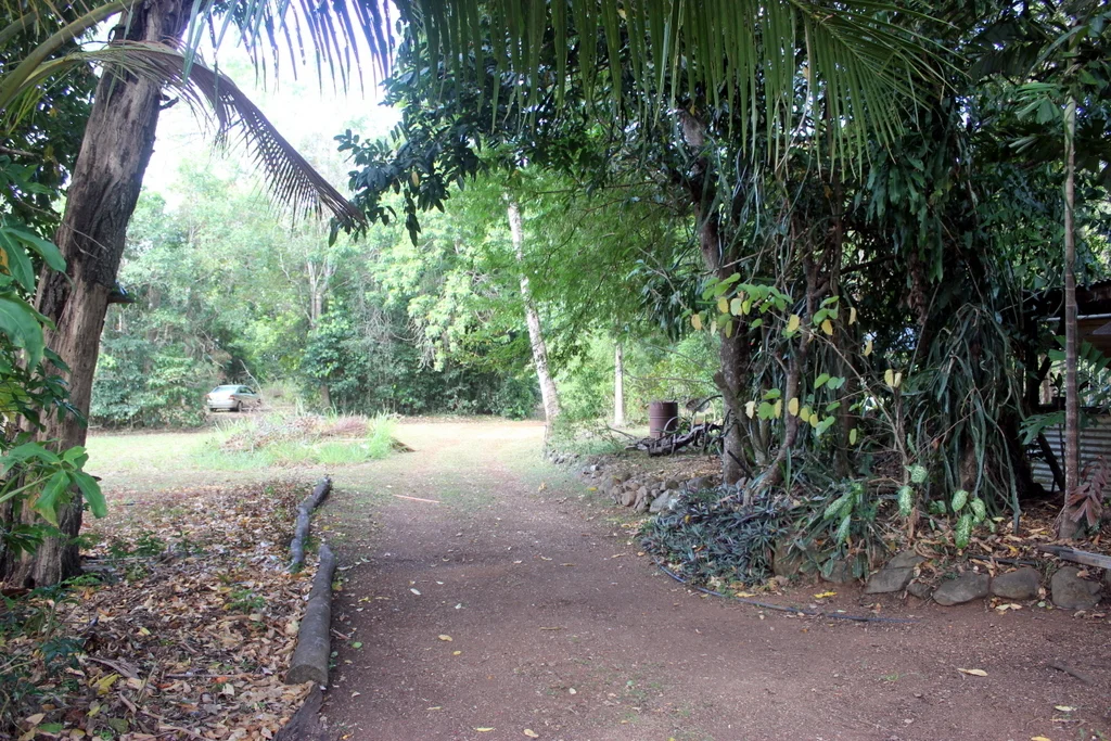 Image 35