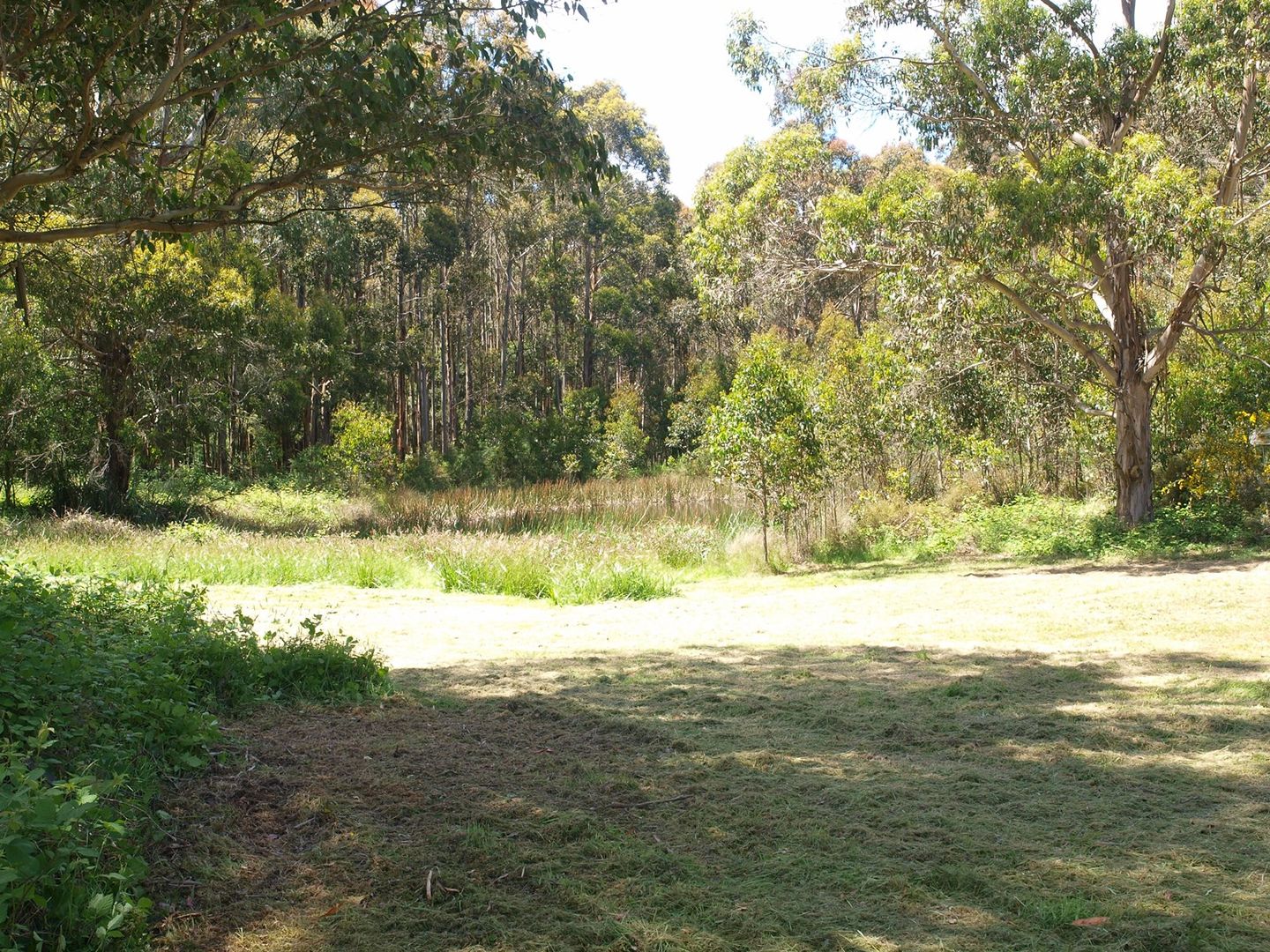 2, LP80016 Mill Road, Trentham East VIC 3458, Image 1