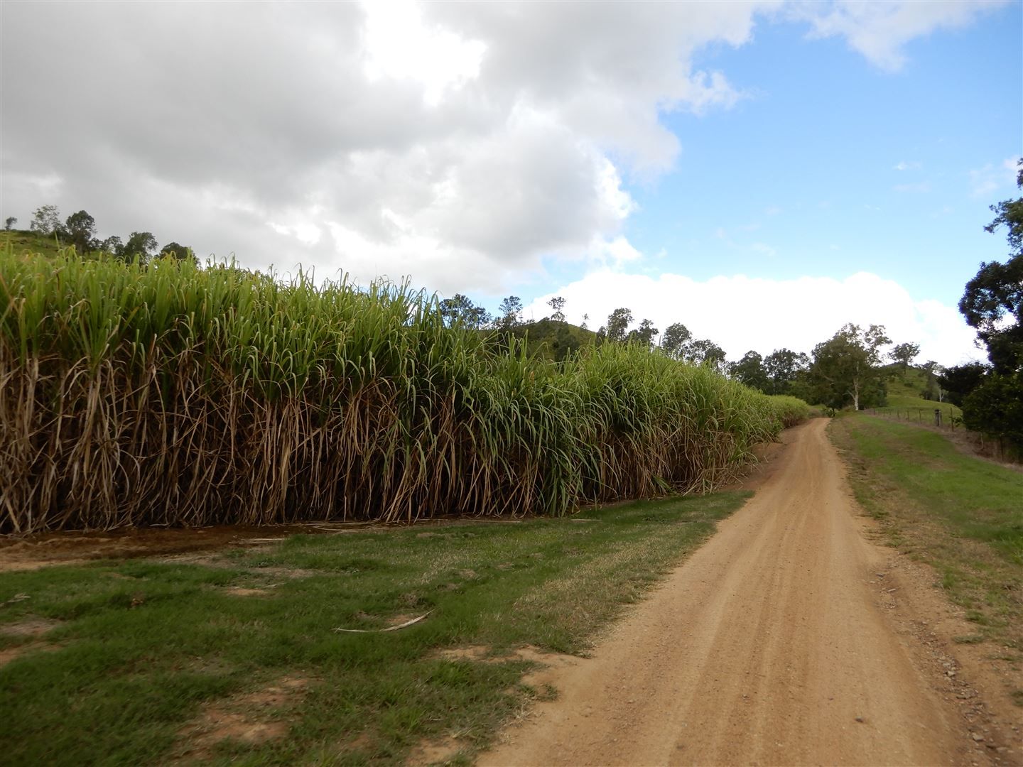 Pinnacle QLD 4741, Image 0