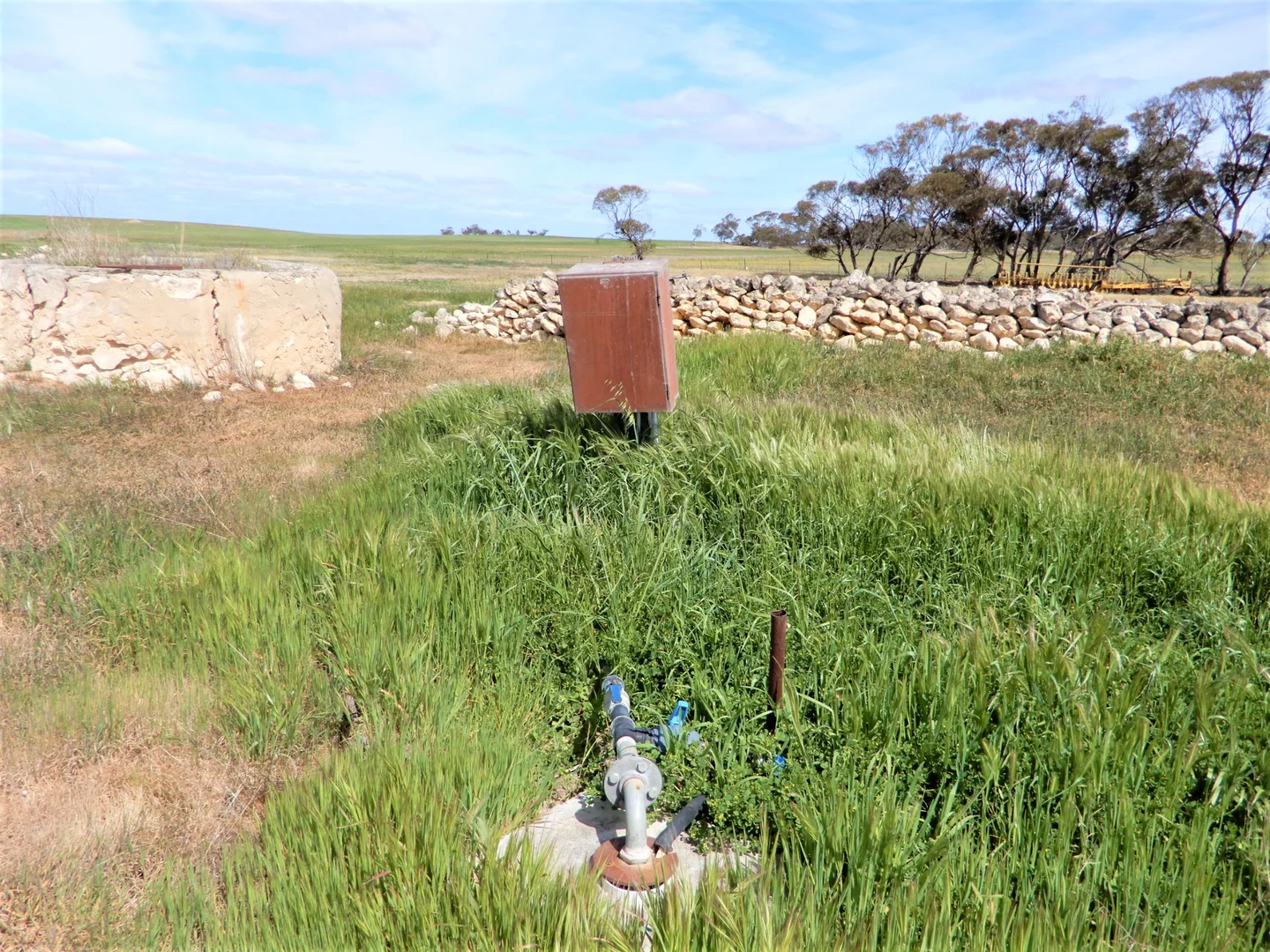 Image 10