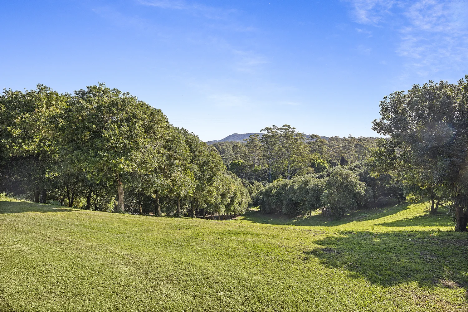 Additional image 23 of 65 Logans Road, Valla NSW 2448
